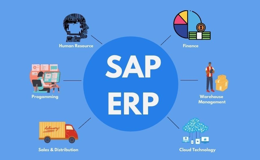 SAP As An ERP System